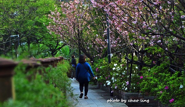 土城希望之河-34.JPG - 2016春暖花開