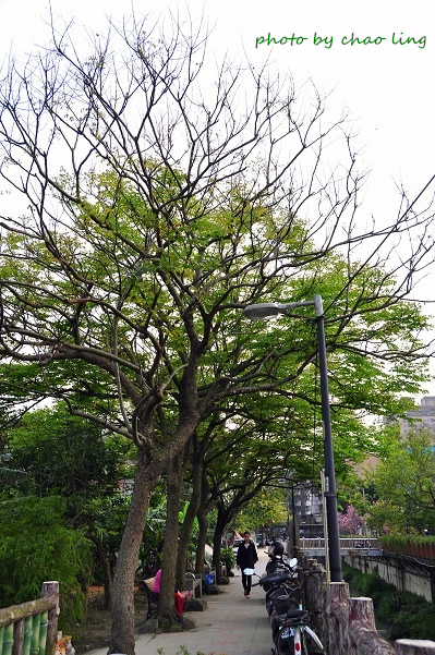 土城希望之河-25.JPG - 2016春暖花開