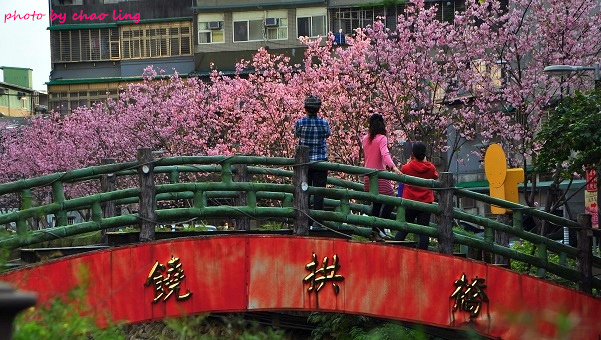 土城希望之河-1.JPG - 2016春暖花開