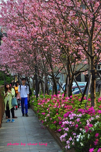 土城希望之河-11.JPG - 2016春暖花開