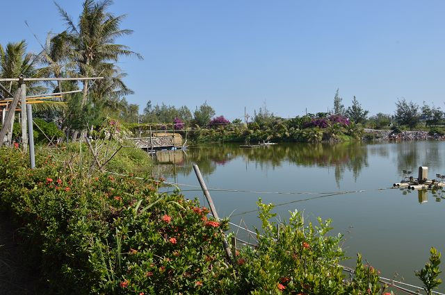 椰庭景觀餐廳38