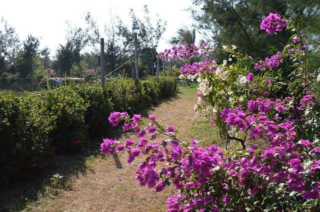 椰庭景觀餐廳37