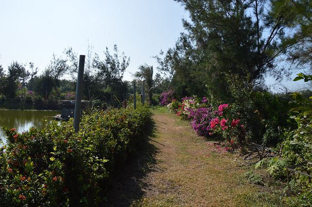 椰庭景觀餐廳36