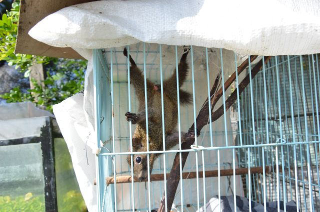 椰庭景觀餐廳33