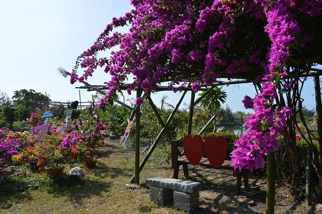 椰庭景觀餐廳02