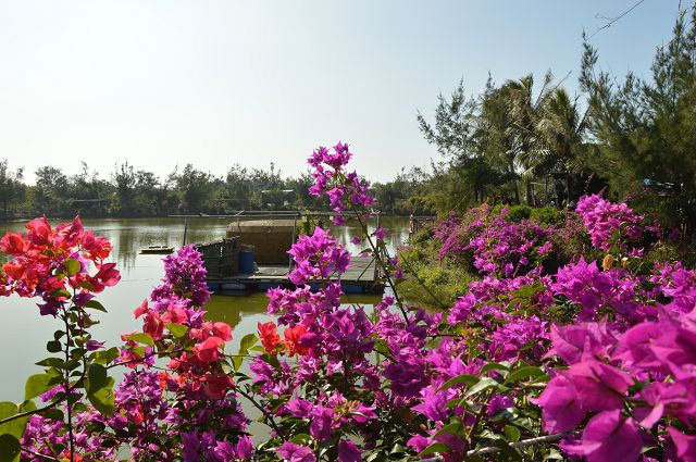 椰庭景觀餐廳06