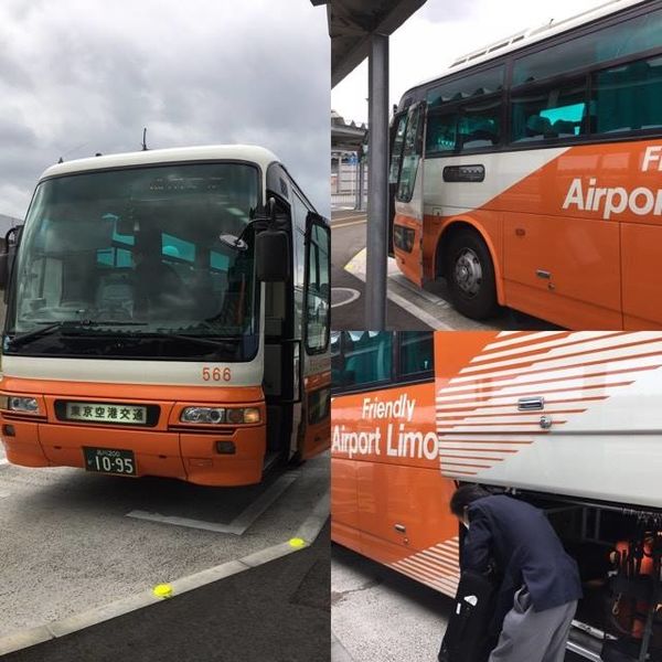 15049783_10207569394097145_692464831_n