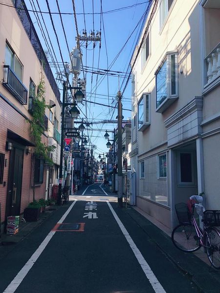 14997247_10207569986751961_1218858358_n