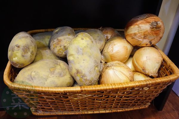 DSC08631 (複製).JPG