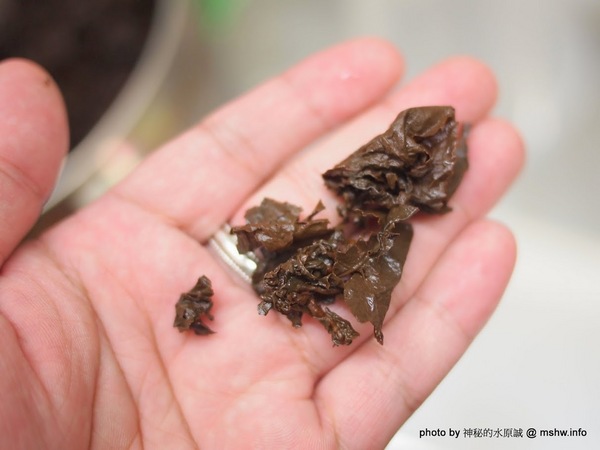 禪茶(逢甲店)：【食記】台中Zen Tea 禪茶逢甲店專訪@西屯逢甲夜市 : 成本不妥協,用心選料做好茶