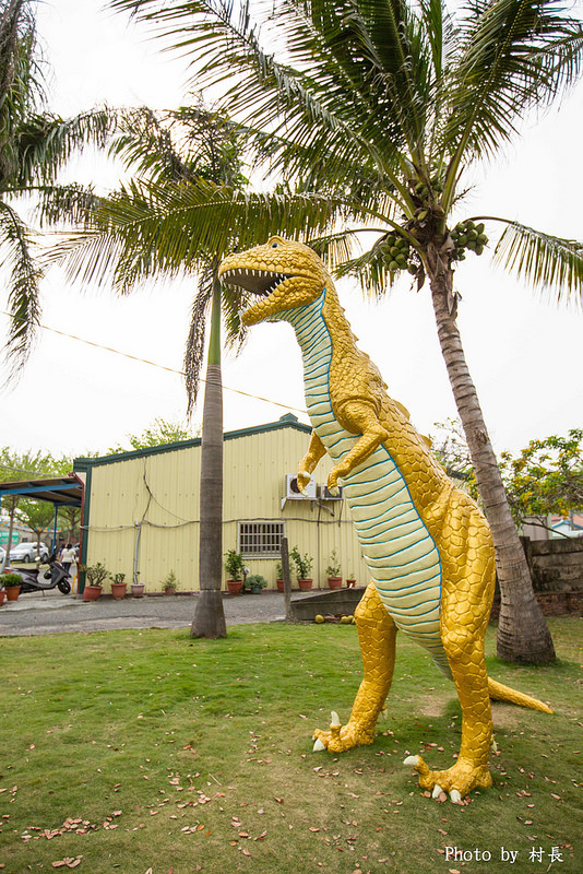 光華里蜀葵花田:【遊記】{台南。學甲區}學甲人的後花園有爭奇鬥豔的蜀葵