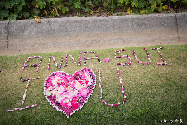 光華里蜀葵花田:【遊記】{台南。學甲區}學甲人的後花園有爭奇鬥豔的蜀葵
