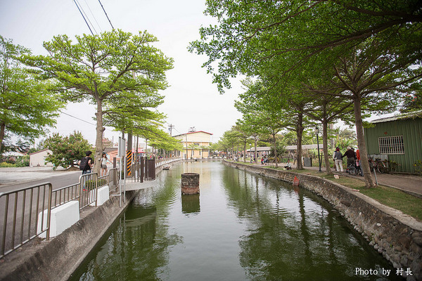 光華里蜀葵花田:【遊記】{台南。學甲區}學甲人的後花園有爭奇鬥豔的蜀葵