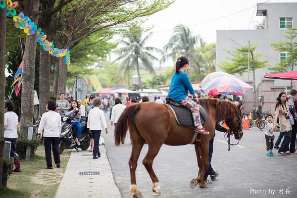 光華里蜀葵花田:【遊記】{台南。學甲區}學甲人的後花園有爭奇鬥豔的蜀葵