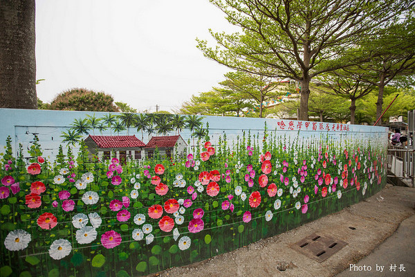 光華里蜀葵花田:【遊記】{台南。學甲區}學甲人的後花園有爭奇鬥豔的蜀葵