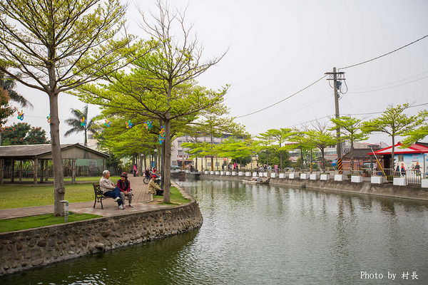 光華里蜀葵花田:【遊記】{台南。學甲區}學甲人的後花園有爭奇鬥豔的蜀葵