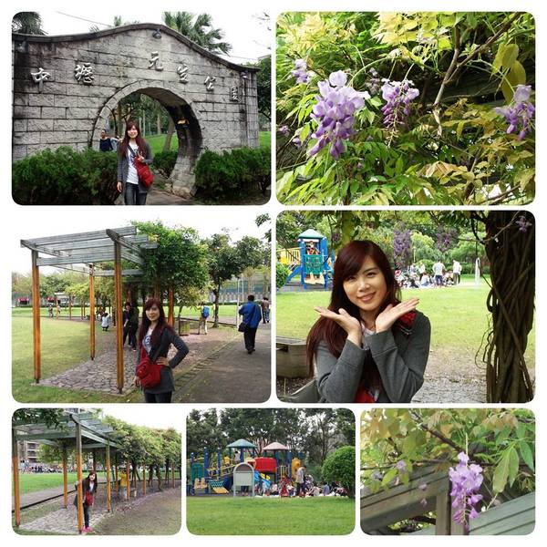 元生公園：【桃園景點】中壢元生公園紫藤花(花況4月16)