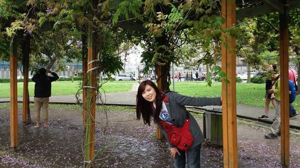 元生公園：【桃園景點】中壢元生公園紫藤花(花況4月16)