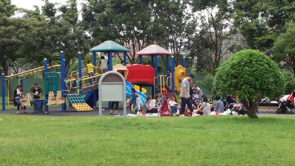 元生公園：【桃園景點】中壢元生公園紫藤花(花況4月16)