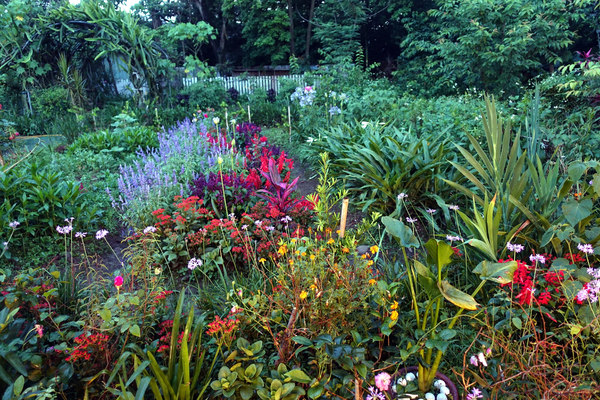 玉蘭活魚餐廳:(胖樺食記)桃園龍潭活魚三吃「玉蘭活魚餐廳」/有停車位/石門水庫/平價/三代老店