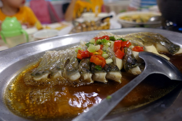 玉蘭活魚餐廳:(胖樺食記)桃園龍潭活魚三吃「玉蘭活魚餐廳」/有停車位/石門水庫/平價/三代老店