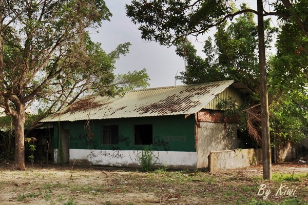 新營綠色隧道8449