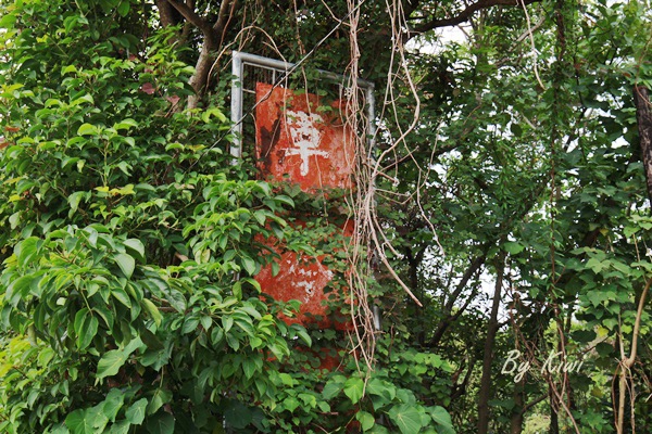 新營綠色隧道8498