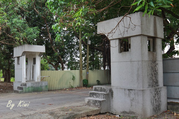 新營綠色隧道8496