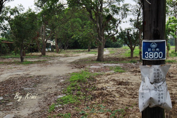 新營綠色隧道8497