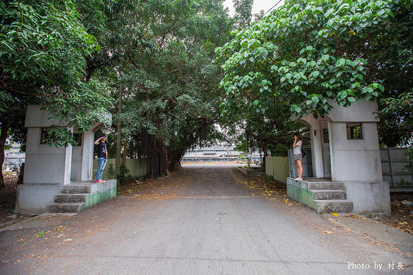 長勝營區綠色隧道：【遊記】｛台南。新營區｝全台最美的綠色隧道即將消失
