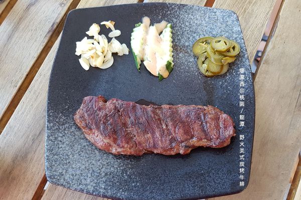 【桃園/龍潭】野火美式炭烤牛排