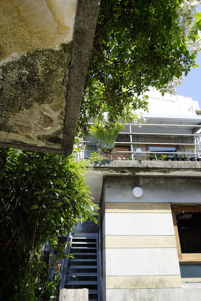 苔毛:【大安】苔毛。巷弄中的世外桃源。OpenRice新店快閃大隊