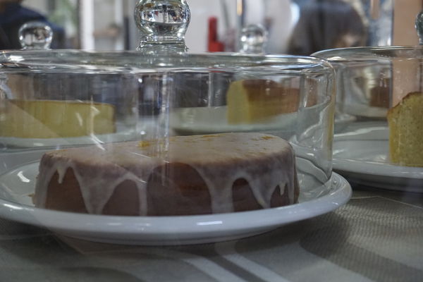 苔毛:【大安】苔毛。巷弄中的世外桃源。OpenRice新店快閃大隊