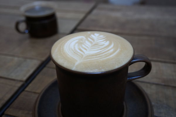 苔毛:【大安】苔毛。巷弄中的世外桃源。OpenRice新店快閃大隊