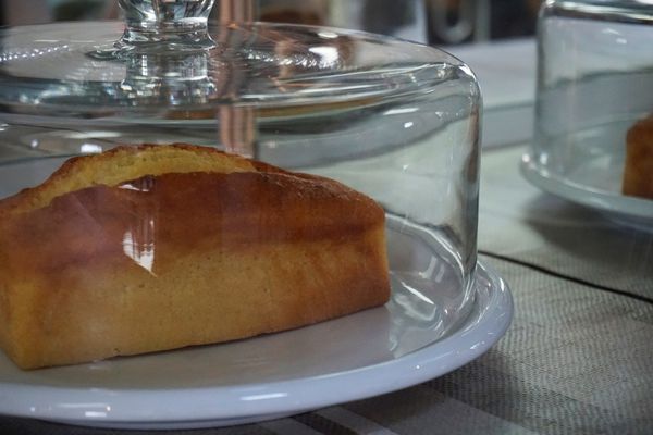 苔毛:【大安】苔毛。巷弄中的世外桃源。OpenRice新店快閃大隊