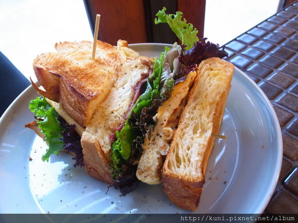 GRD3 09042015 苔毛咖啡 (10).JPG