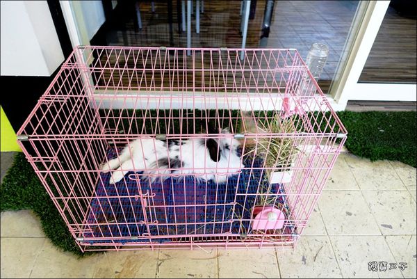 高沐手作料理 Pasta&Steak (4).JPG