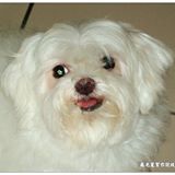 聯一西餐：【宅配】『聯一台塑牛排』在家輕鬆享用王永慶的私房牛排，每頭牛只有六客，其中一客在我家！