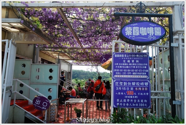 紫藤咖啡園：淡水‧紫藤咖啡園2015