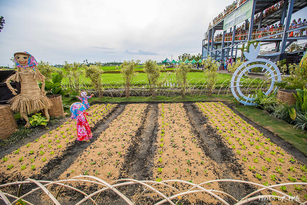 LINE FRIENDS彩繪稻田:【遊記】{屏東。南州}「全球首發 LINE FRIENDS彩繪稻田」就在2015屏東國際彩稻藝術節