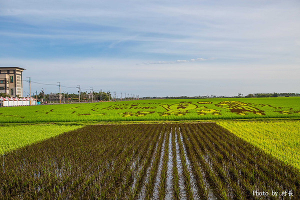 LINE FRIENDS彩繪稻田:【遊記】{屏東。南州}「全球首發 LINE FRIENDS彩繪稻田」就在2015屏東國際彩稻藝術節