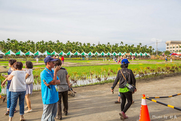 LINE FRIENDS彩繪稻田:【遊記】{屏東。南州}「全球首發 LINE FRIENDS彩繪稻田」就在2015屏東國際彩稻藝術節
