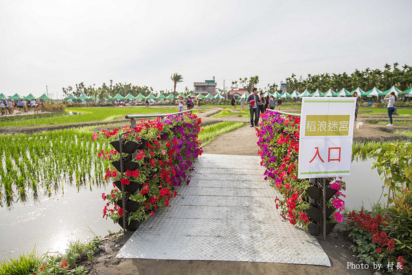 LINE FRIENDS彩繪稻田:【遊記】{屏東。南州}「全球首發 LINE FRIENDS彩繪稻田」就在2015屏東國際彩稻藝術節