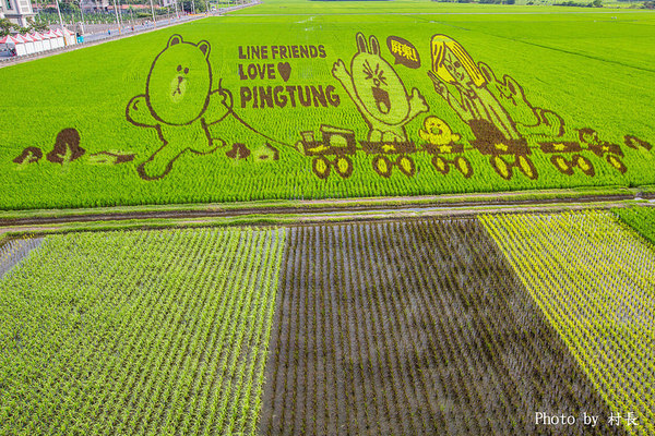 LINE FRIENDS彩繪稻田:【遊記】{屏東。南州}「全球首發 LINE FRIENDS彩繪稻田」就在2015屏東國際彩稻藝術節