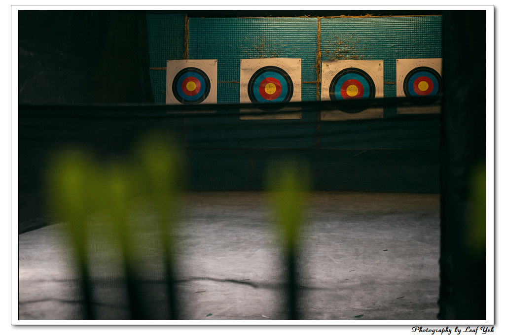 葉影瓶像版權所有