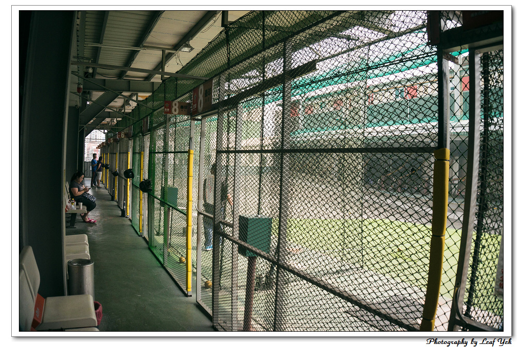 葉影瓶像版權所有