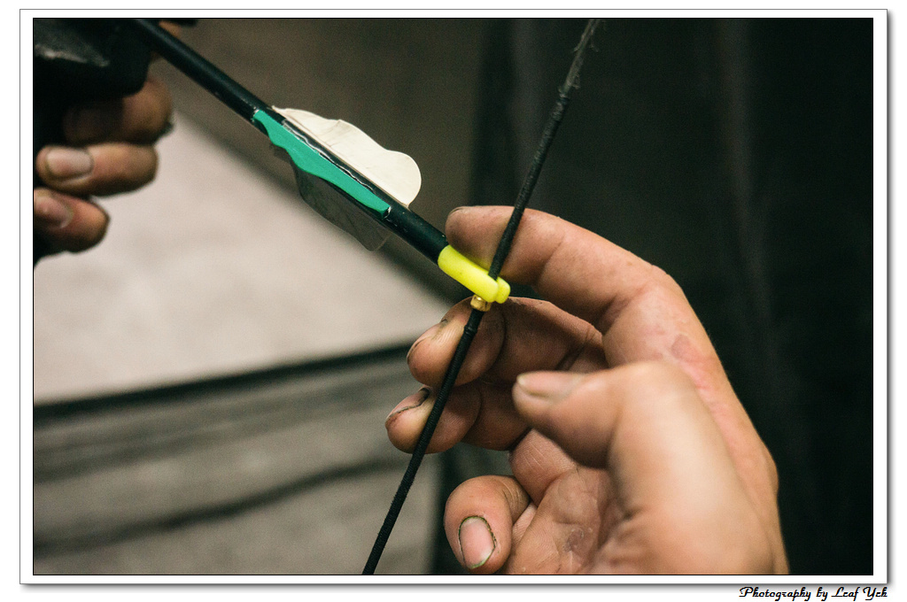 葉影瓶像版權所有