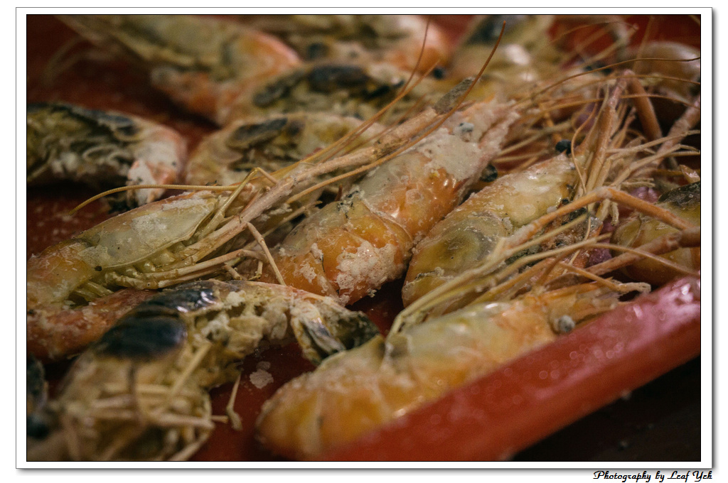 葉影瓶像版權所有