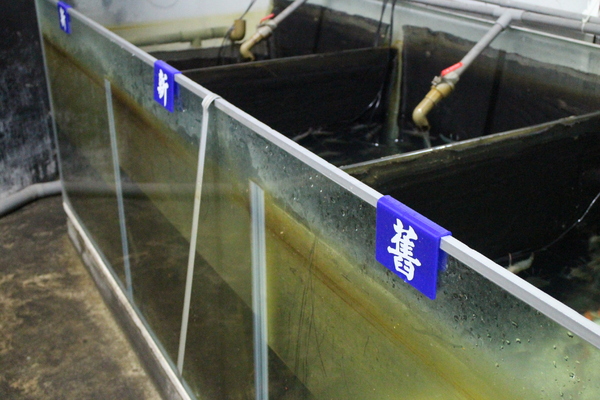 全球附合式運動休閒館:中和『全球複合式運動休閒館』釣蝦/保齡球館/棒壘球/撞球/飛鏢