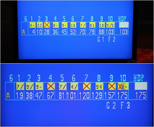 全球附合式運動休閒館:中和『全球複合式運動休閒館』釣蝦/保齡球館/棒壘球/撞球/飛鏢